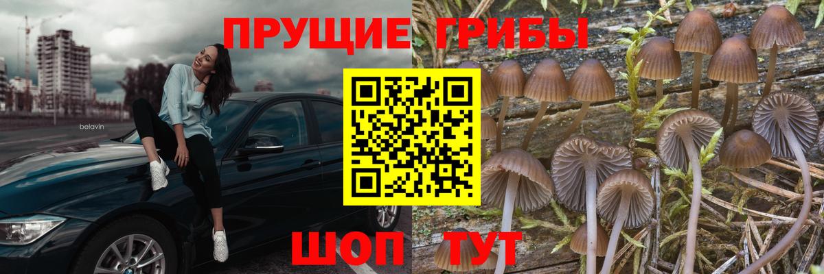 Псилоцибиновые грибы Magic Shrooms  Вход с VPN  Галлюциногенные грибы ЛСД  Радужный 